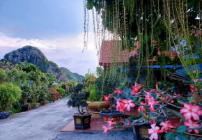 Ninh Binh Green Farmstay
